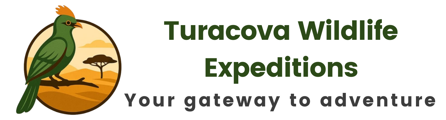 Turacova-Adventures-logo-5.png