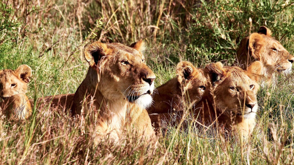 Tsavo National Park destination