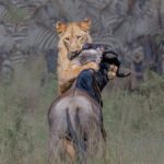 3-Day Maasai Mara Classic