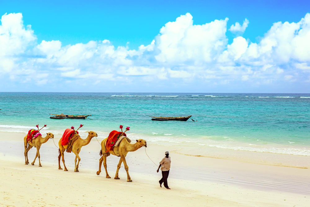 Diani Beach